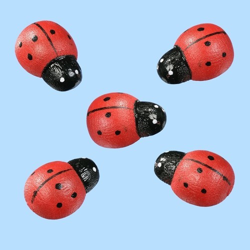CREApop® Mini Lieveheersbeestjes, buidel met 12 st