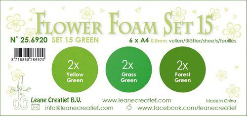 LeCrea - Flower Foam set 15 6 vl 3x2 Groen 25.6920 A4 (09-20)