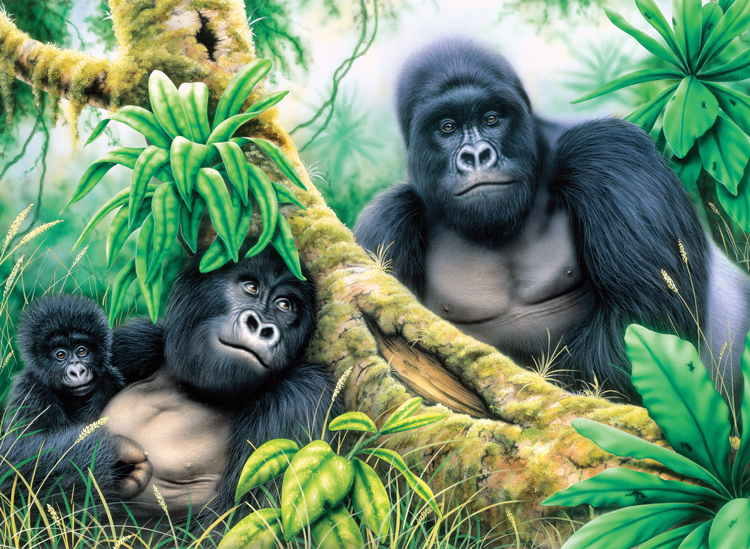 Painting by numbers MOUNTAIN GORILLAS