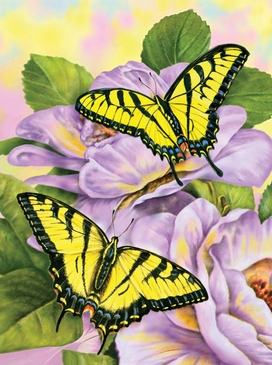 Painting by numbers SWALLOWTAIL BUTTERFL